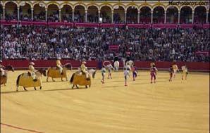 투우의기원은헤라클레스가황소와벌인격투까지거슬러올라간다. 목축업의번성을기원하면서황 <plaza de toros 투우장 > 소를제물로바치는의식에서유래하였다. 16~17세기말까지궁중귀족들의스포츠로성행하다가 1701년 Felipe V의왕위즉위를기념하여행하여졌던투우가현대와같은투우의기원이되었고, 18세기이후대중화되기시작하였다.