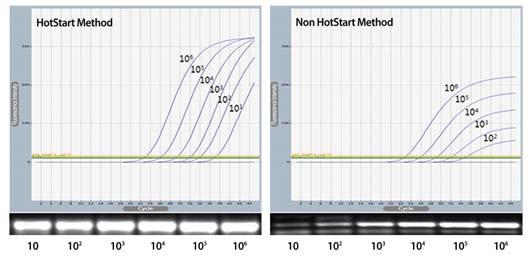 AccuPower Plus DualStar qpcr PreMix & 2X Master Mix HotStart 기술을적용한 TaqMan Probe 방식의 Real-Time PCR Kit Description AccuPower Plus DualStar qpcr PreMix & 2X Master Mix는 DNA polymerase의 5 ->3