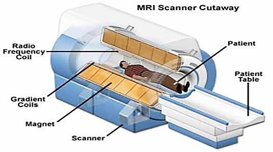 Magnetic Resonance Imaging Compatible Devices stimulation을억제하거나 PG (pulse generator) 의프로그램을 reversion할수있다 (Figure 2).