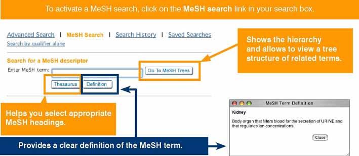 MeSH 국립의학도서관의제한용어시소러스입니다. 이시소러스는다양한레벨에서특정용어를찾을수있도록계급적인구조로기술하고있습니다.