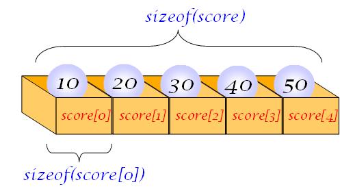 배열원소의개수계산 int score[] = 10, 20, 30, 40, 50 ; int i, size; size = sizeof(score) /