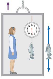 예제 4.6 승강기안에서물고기의무게측정 그림과같이승강기천장에달려있는용수철저울로질량 인물고기의무게를측정하고있다. (A) 승강기가위또는아래방향으로가속되면용수철저울이가리키는눈금은물고기의실제무게와다름을보여라. (B) 승강기가.00 /s 일때 40.