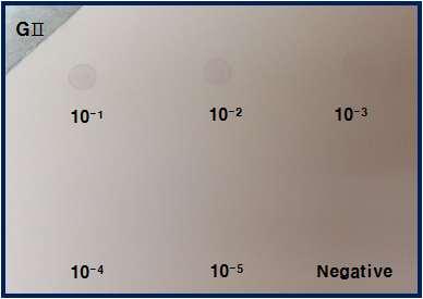 2 ng/ul 10-1 10-5 serial dilution.