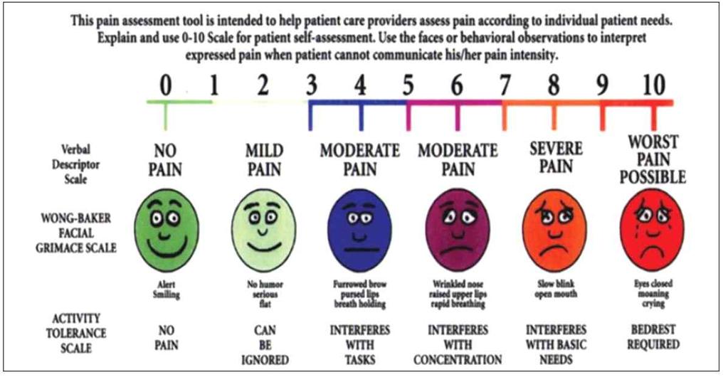( 마 ) 참고 1 통증의평가 (Pain assessment)