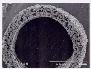 Epithelial Porous