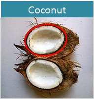 품목분류 31 코코넛관련제품에대한품목분류 코코넛및코코넛밀크, 코코넛주스등관련제품의품목분류는?