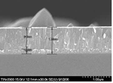 SEM micrographs showing coating thickness of each group.