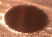 5 드릴링버로그높이가수 µm 단위의매우작은버이다. Fig.