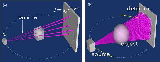 제 40 회한국의학물리학회춘계학술대회 Fig. 2. Cone beam CT simulator; (a) X-ray decay phenomena; (b) CBCT simulator의 beam source, phantom and detector with 1024 768 sensors. 결과 : Fig. 3.