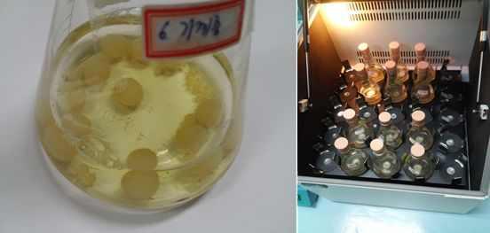 Fig. 3. PDB 균사배양 -. PDB + N 250 ml 1% naphthalene PDB (Potato dextrose broth 24.4g, DW 1,000ml) 100 ml (PDB+N), PDB homogenizer PDB+N 25mL 25 10. centrifuge. 4. -. Laccase Laccase Bourbounnais et al.
