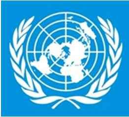 1. International Organization
