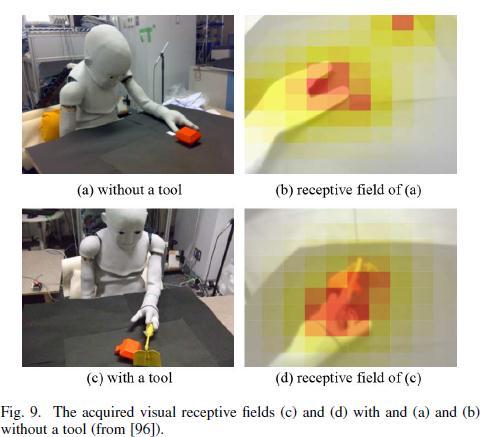 5. BODY REPRESENTATION, MOTOR REPRESENTATION, AND SPATIAL PERCEPTION B. Synthetic Approaches to Body Representation and Frame of Reference - Hikita et al.