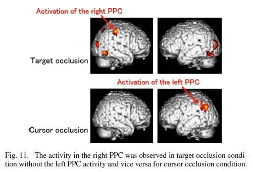 5. BODY REPRESENTATION, MOTOR REPRESENTATION, AND SPATIAL PERCEPTION C. Neuroscientific Approach to Frame of Reference - Ogawa and Inui : fmri 를이용하여 manual tracking 연구.
