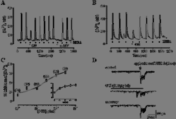 6 그림 1). Effects of ginseng total saponins on NMDA receptor-mediated signals in cultured rat hippocampal neurons.