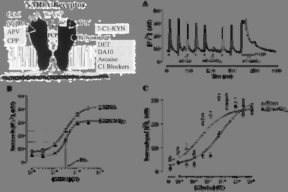 9 그림 3). Neuroprotective effect of ginsenoside Rg3 against NMDA-induced excitotoxicity in primary cultures a of rat hippocampal neurons.