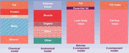 (Body Mass Index, BMI, kg/m 2 ) 체중 (Body Weight, kg) 신장 2 (Height Squared, m 2 ) 예 ) 나이 : 27 세, 성별 : 남자체중 : 75 kg, 신장 : 168 cm 체질량지수 (BMI) = 75 / (1.68) 2 = 26.