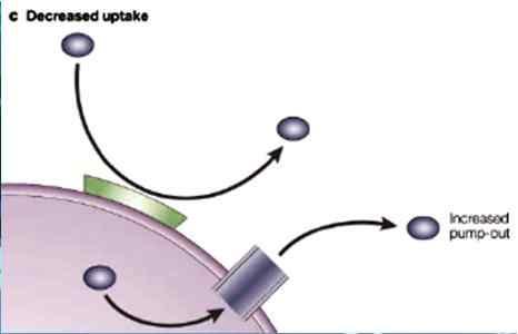 [3] 항생물질투과력의변화 항생물질은다른화합물과마찬가지로수동확산 (simple diffusion) 이나특수한능동수송 (active transport) 에의해세포내로들어간다. 항생물질이수동확산에의해세포내로들어가는경우에는, 영양소로작용하는화합물질은정상적으로세포내로들어가고항생물질은못들어가게하는돌연변이가일어나기매우어렵다.
