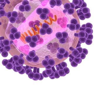 Supplementary Infection & Chemotherapy 중동호흡기증후군코로나바이러스검사실진단지침 대한진단검사의학회 메르스에대한기본설명 1. 한글명 2. 영문명 Detection of Middle East Respiratory Syndrome Coronavirus (MERS-CoV) RNA 환자정의 (case definition) 1.