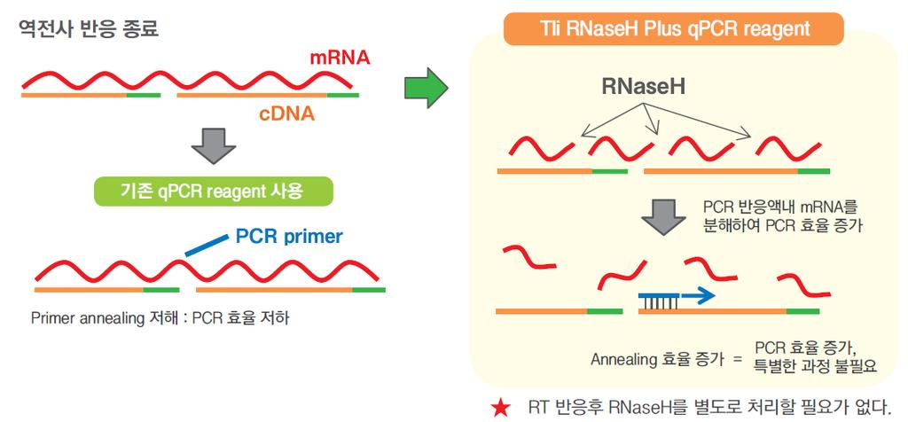 Takara 시약에만있는기능 Tli RNaseH Takara qpcr Premix 의정확한정량 :