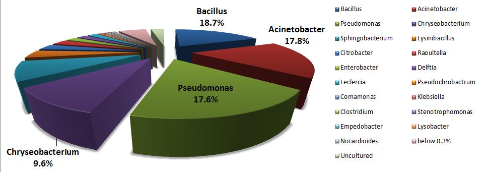 bacteria (39.2%), Bacillus sp. (18.7%), Enterobacter sp. (40.1%), Acinetobacter sp. (24.