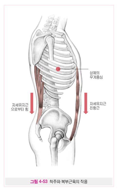 회전운동