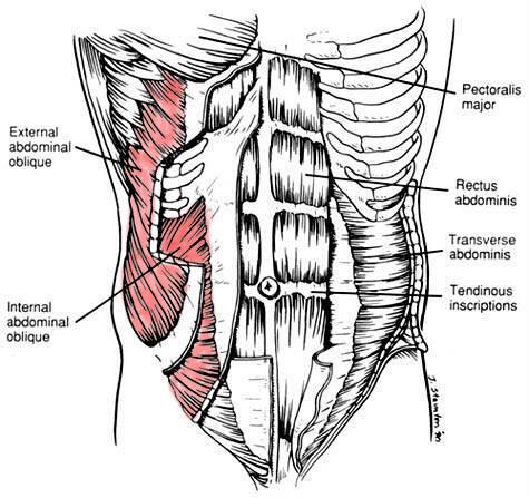 Internal