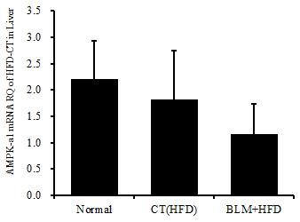 (I) AMPK-a2, (J) Adiponectin were measured with RT-PCR analysis. * BLM, bleomycin Figure 16. Effects of BLM on the mrna expression levels in Liver tissue 대한고찰이필요하였다.