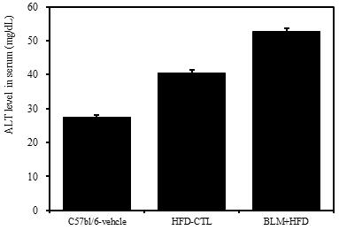 AST & ALT level in serum * NEFA: non-esterified fatty acid Figure 10.