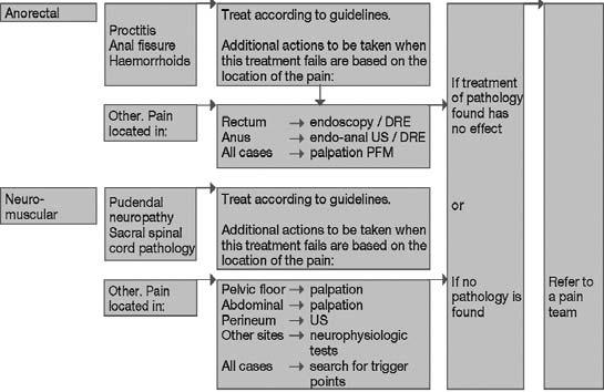 2013 Algorithms of diagnosis and treatment of CPP or CPPS