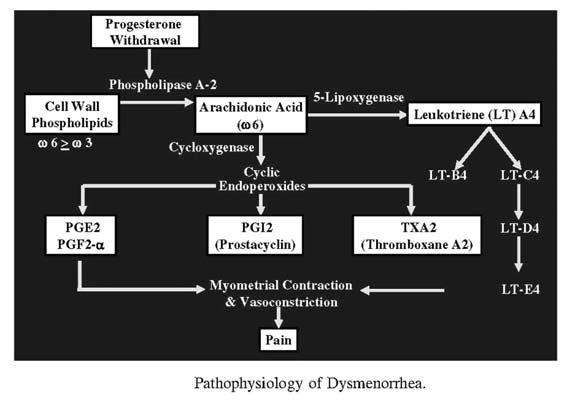 고석봉 : 미혼여성의효과적생리통관리 Pathophysiology of primary dysmenorrhea not been fully elucidated but prostaglandins appear to play an important role.