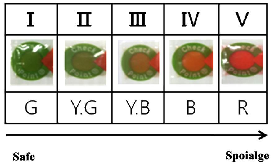 232 이중용 이승주 홍광원 Fig. 3. The grade and the color change process of enzymatic C- type TTI. G, green; Y.G, yellowish-green; Y.B, yellowish-brown; B, brown; R, red. 해체하여사용하였다.