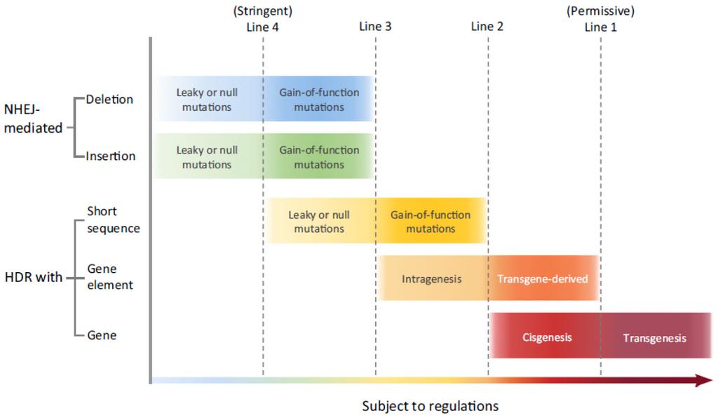 302 J Plant Biotechnol (2018) 45:299 305 Fig. 1 The presumed regulatory relevance of crop mutants generated with genome editing technology.