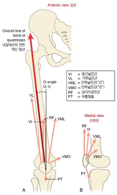 Q-angle 1. line connecting ASIS to midpoint of patella 2.