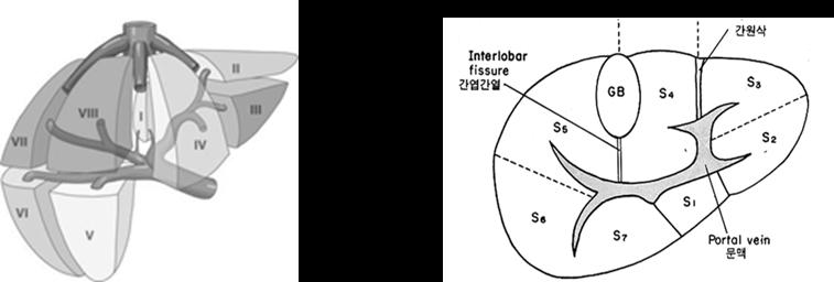 Optimal Scanning of Abdominal Ultrasonography and Trouble Shootings Moon Young Kim Department of Internal Medicine, Yonsei University Wonju College of Medicine, Wonju, South Korea 김문영