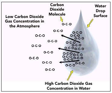 73 Degasifier( ) Scale CO 2 gas CO 2 gas CO 2 gas (Henry ) CO 2
