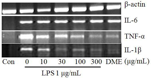 Fig 2-2. Inhibition of LPS induced cytokine mrna expression in RAW 264.7 murine macrophages.
