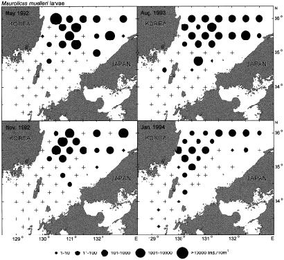 Eggs and Larvae of Maurolicus muelleri 67 Fig. 7. Horizontal distribution of Maurolicus muelleri larvae in the Korea Strait. 경향에다소차이는있지만어란의경우와달리 4계절모두북위 35~36 해역의대륙붕단주변에형성된전선역부근해역에주로분포하였다.