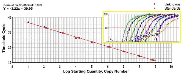 Threshold Cycle, Ct (2) 연속적으로증가하는초기 template의양에대한 Ct 값의결과를
