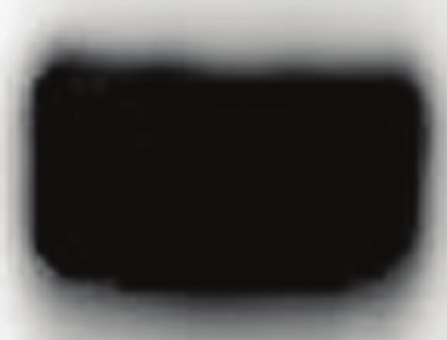 is the western blot band). 4.2.