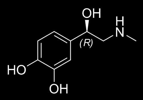 다이어트약 ( 지방세포의열생산촉진 ) epinephrine OH NH CH 3 NH CH 3 CH 3 Pseudoephedrine CH 3