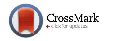 What is CrossMark?