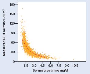 Serum creatinine 근육과 dietary meat 에서생산