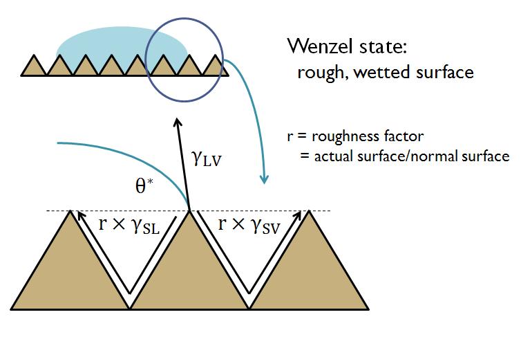 표면에요철이있을경우 (Figure 3) 고체-액체, 고체-기체계면에너지는거칠기율 (roughness factor)