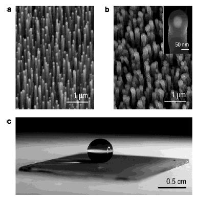 SEM images of carbon nanotube forests: (a) As-grown forest prepared by PECVD with nanotube diameter of 50 nm and a height of 2 im, (b) PTFE-coated forest after HFCVD treatment, and (c) an essentially