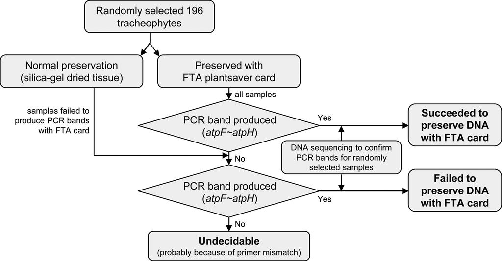96 김상태 Figure 2. Workflow for the evaluation of DNA preservation for plant samples stored using the FTA card. 3.