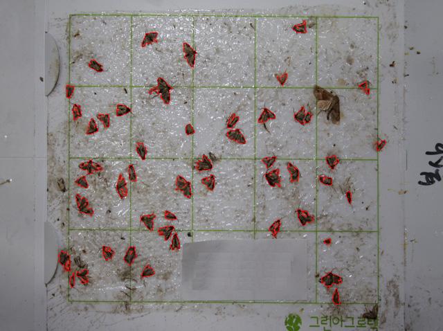 Detection of Carposina sasakii in the moth image: the objects of red contours represent single or multiple interest moths. 4. 실험결과및토의 Fig. 8.