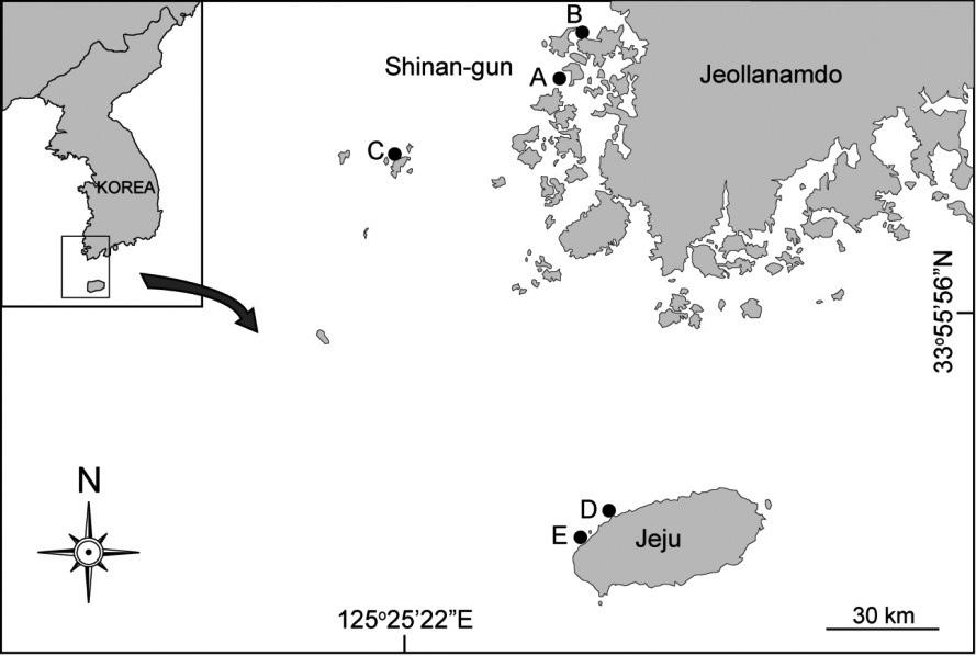 690 황은경ㆍ이승종ㆍ하동수ㆍ박찬선,., 2015,.,. 2015 1 5-10, 5 (Fig. 1). Ice box,.,. 1,,,,,. 5 30. Kang (1968) Boo et al. (2010).,,,,,,,. (one-way ANO- VA), SPSS ver 8.0 SYSTAT ver 9.0 0.01. 3 2 Fig. 1. A map showing the sampling sites at Shinan-gun (A: Jeungdo, B: Jido, C: Heugsando) and Jeju Island (D: Gonae, E: Gumreung), Korea.