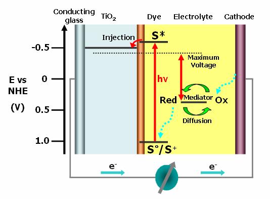 Dye sensitized solar cells TCO TCO 1991 M. Graetzel, EPFL B. O'Reagan and M.