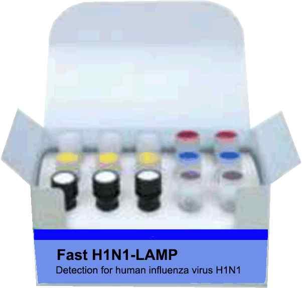 예시본제품은체외진단용의료기기 ( 시약 )(PCR master-mix, H1N1 oligonucleotide, RT-Premix regents, H1N1 positive control) 와구성품 (RNase/DNase free tube) 로구성된다.